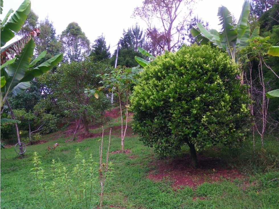 VENTA DE LOTE EN GUARNE ANTIOQUIA SECTOR EL SANGO — foto 5