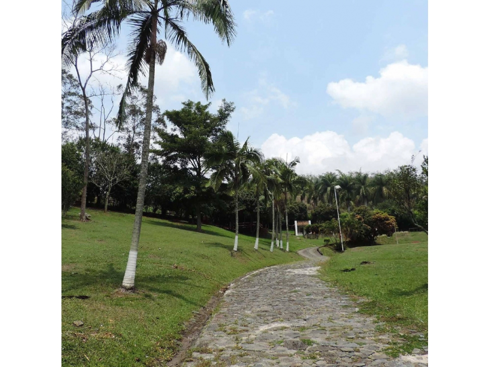 VENTA DE FINCA EN GIRARDOTA ANTIOQUIA — foto 5