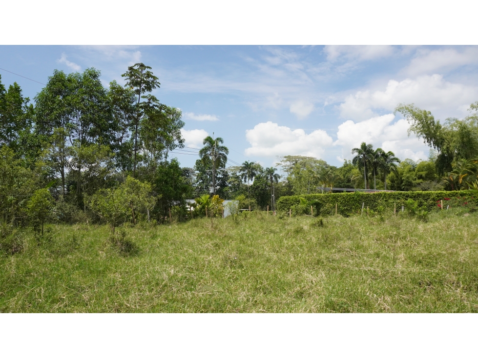 LOTE EN VENTA EN EL TIGRE CERRITOS — foto 2