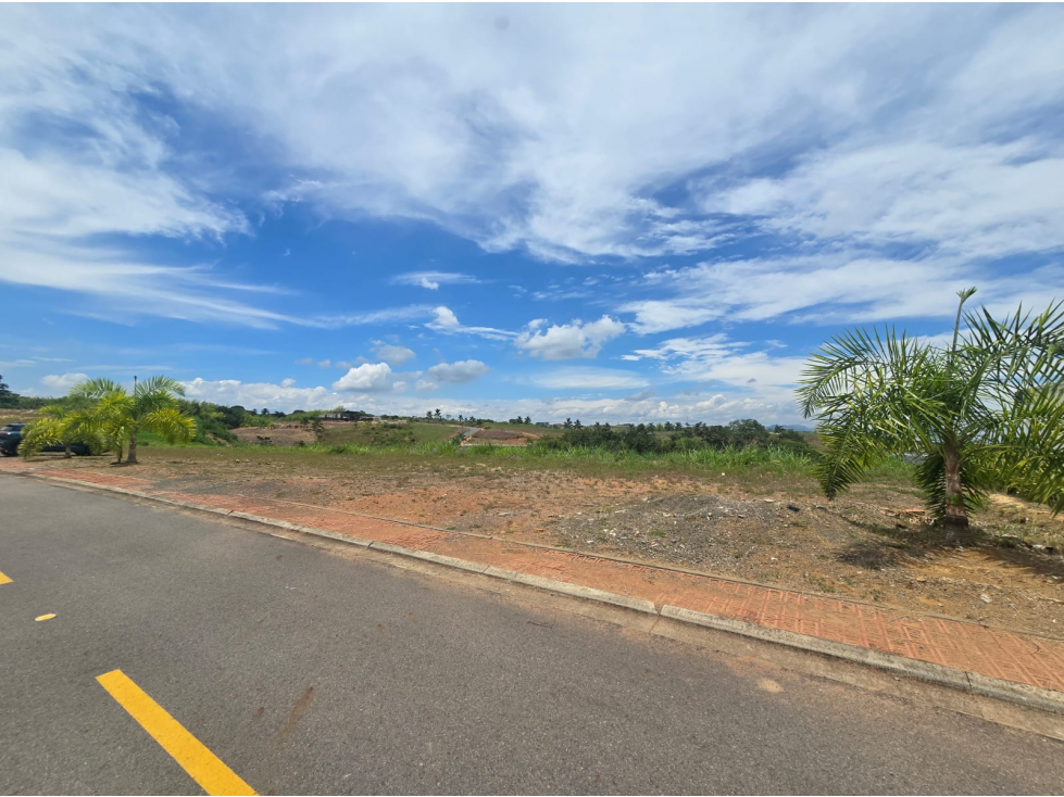 LOTE CAMPESTRE EN CIUDAD CERRITOS — foto 4