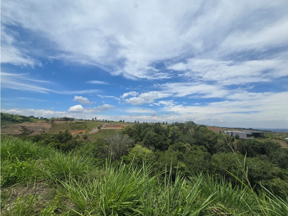 LOTE CAMPESTRE EN CIUDAD CERRITOS — foto 6