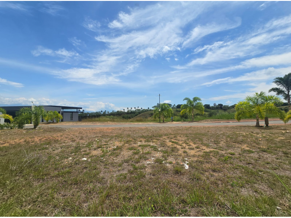 LOTE CAMPESTRE EN CIUDAD CERRITOS — foto 5