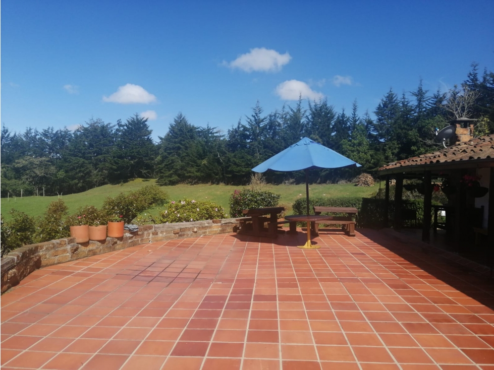 SE VENDE CASAFINCA EN LA VEREDA PANTANILLO, ENVIGADO — foto 4