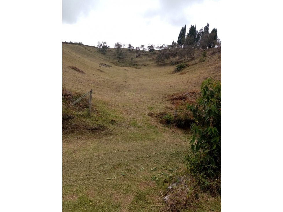 SE VENDE LOTE EN LA VEREDA HOJAS ANCHAS, GUARNE.