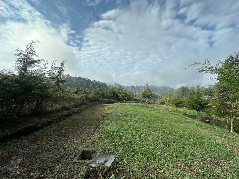 LOTE EN VENTA EN LA VEREDA EL PORTENTO, VÍA LA CEJA — foto 4