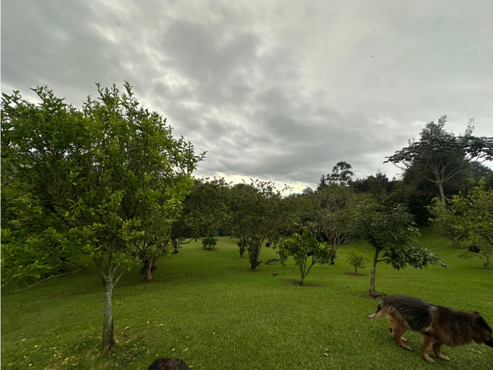 SE VENDE LOTE EN SAJONIA RIONEGRO, CERCA AL AEROPUETO JMC. — foto 2