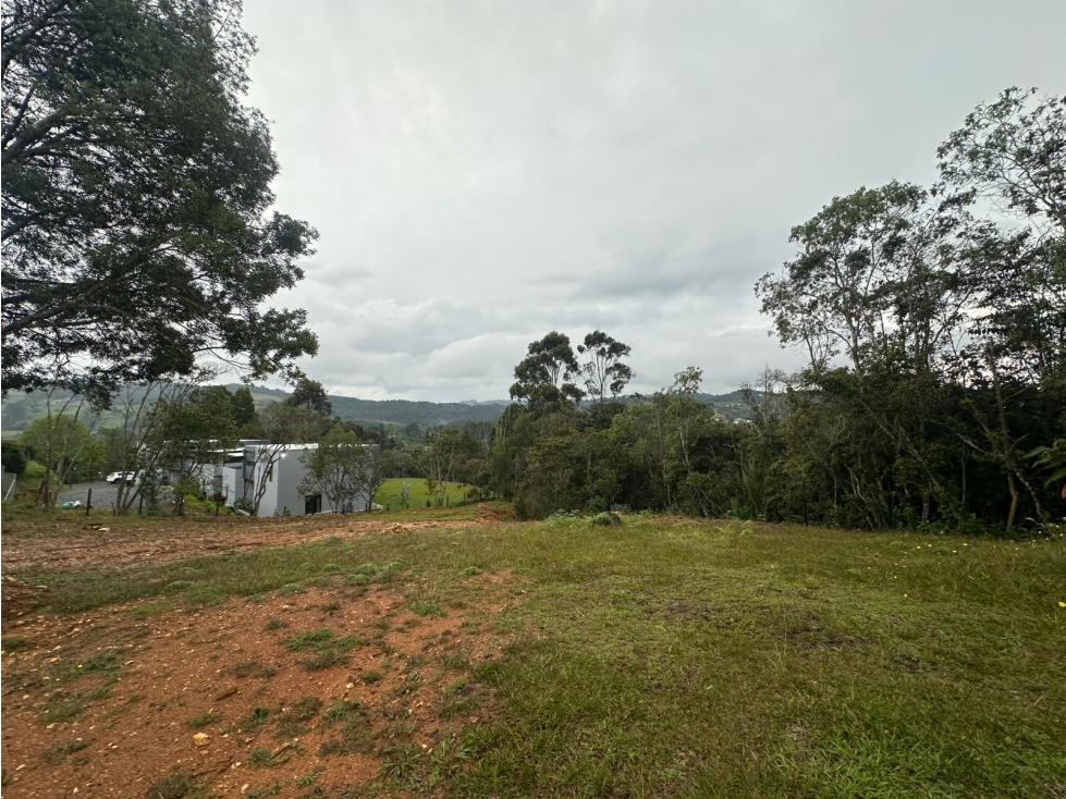 SE VENDE LOTE DE USO MIXTO EN LA VEREDA PANTANILLO, ENVIGADO. — foto 2