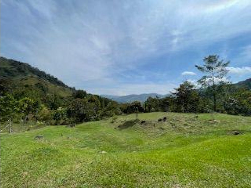 SE VENDE FINCA EN LA VEREDA LA RÁPIDA, SAN RAFAEL, ANTIOQUIA. - 2