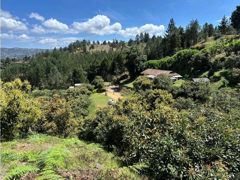 VENDO AMPLIO TERRENO AGROINDUSTRIAL PRODUCTIVO EN GUARNE — foto 3