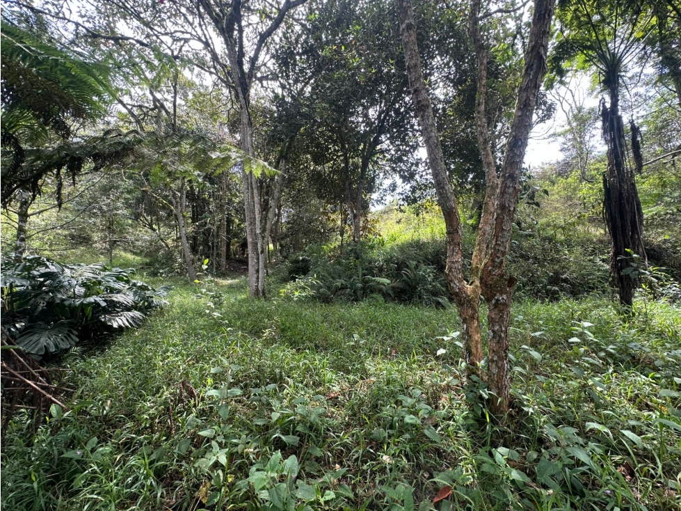 SE VENDE LOTE EN EL RETIRO, VEREDA LOS SALADOS. — foto 4