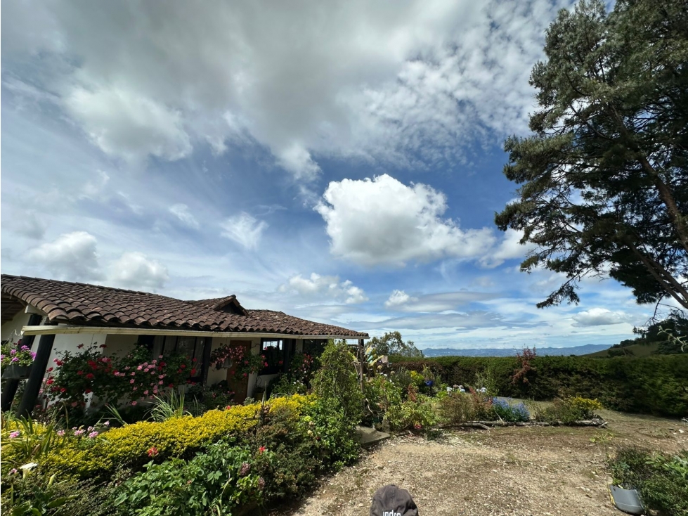 SE VENDE LOTE CON DESTINACIÓN MIXTA EN LA VEREDA PANTANILLO, ENVIGADO. — foto 5