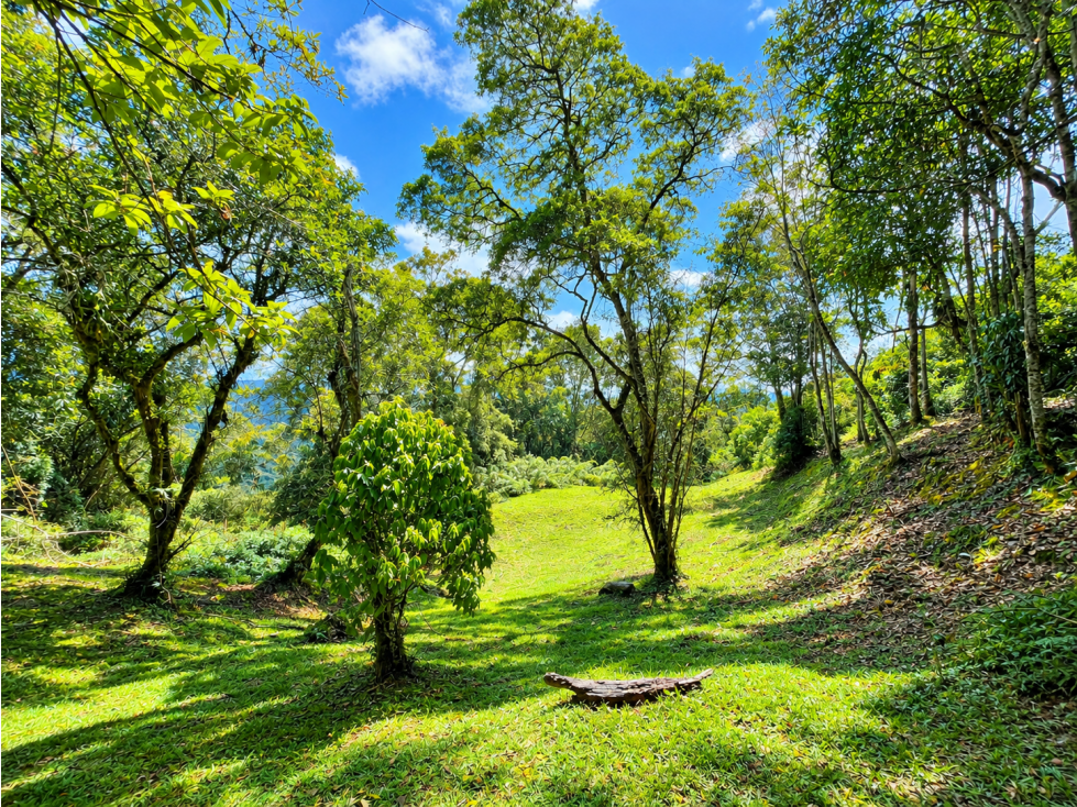 SE VENDE HERMOSO LOTE EN SECTOR LA MANUELA — foto 2