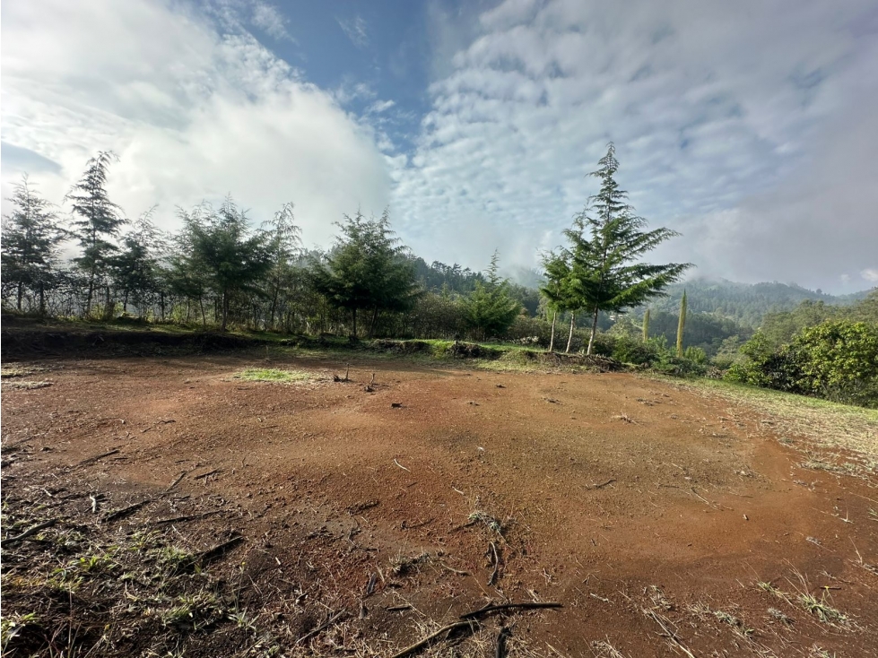 LOTE EN VENTA EN LA VEREDA EL PORTENTO, VÍA LA CEJA — foto 3