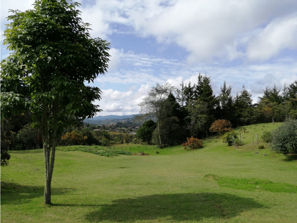 SE VENDE CASAFINCA EN LA VEREDA PANTANILLO, ENVIGADO — foto 5