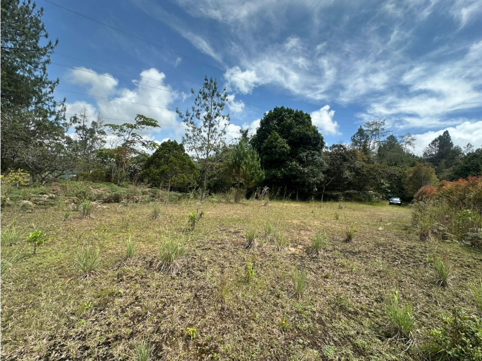 SE VENDE LOTE EN EL RETIRO, VEREDA LOS SALADOS. — foto 6