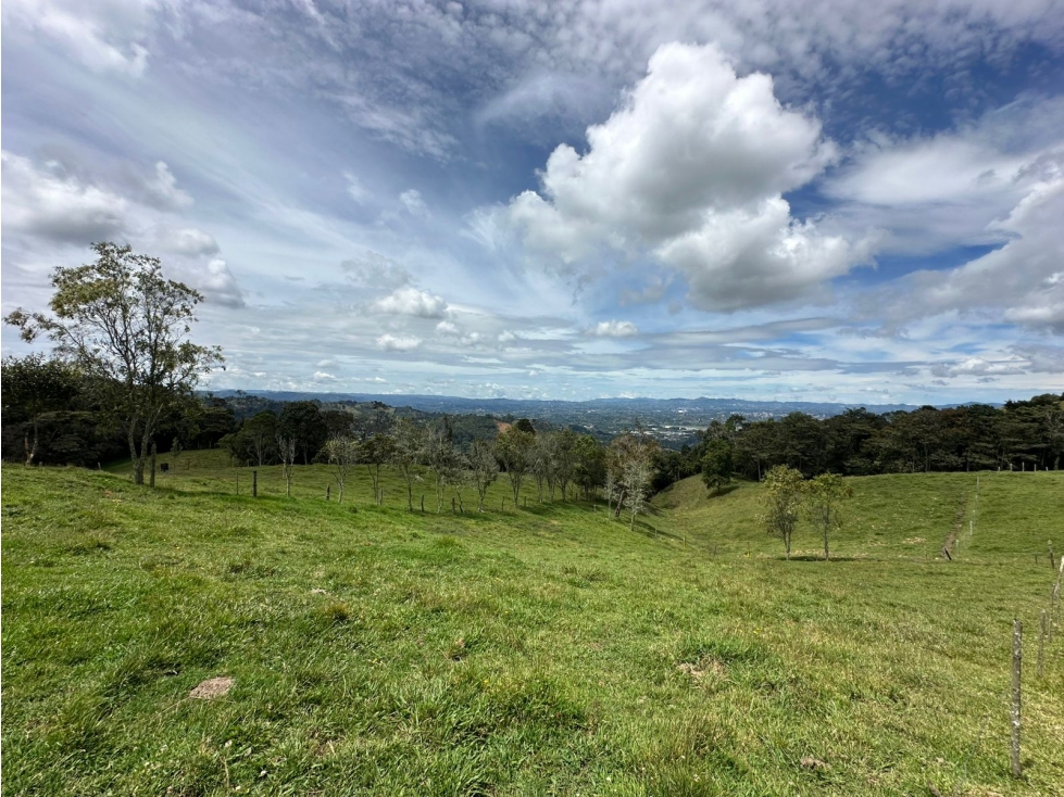 SE VENDE LOTE CON DESTINACIÓN MIXTA EN LA VEREDA PANTANILLO, ENVIGADO.
