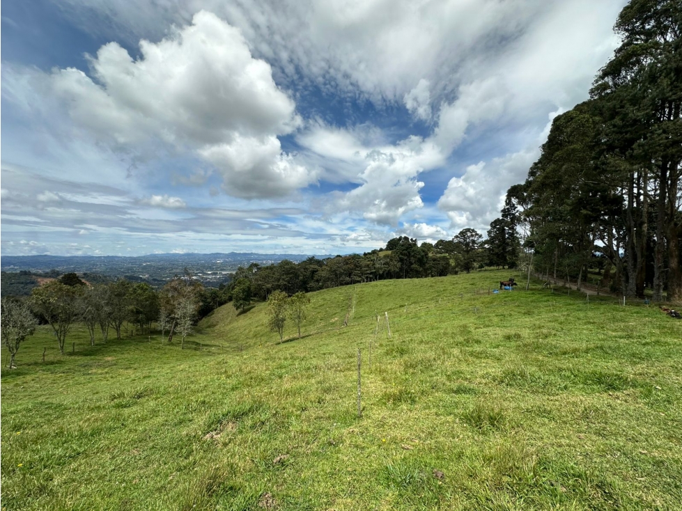 SE VENDE LOTE CON DESTINACIÓN MIXTA EN LA VEREDA PANTANILLO, ENVIGADO. — foto 2