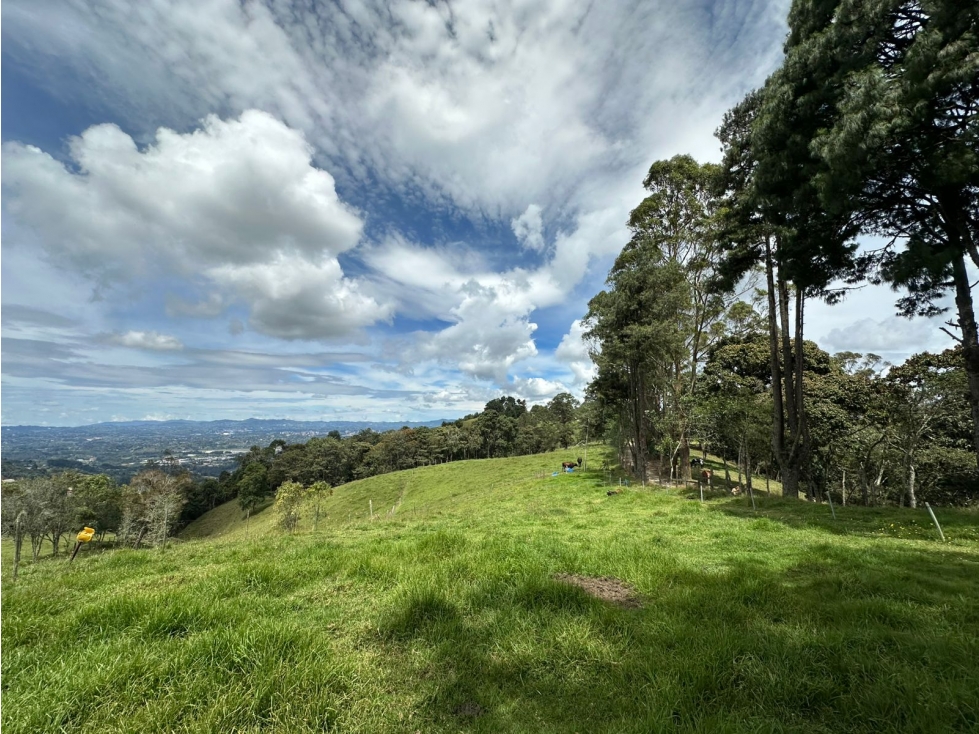 SE VENDE LOTE CON DESTINACIÓN MIXTA EN LA VEREDA PANTANILLO, ENVIGADO. — foto 4