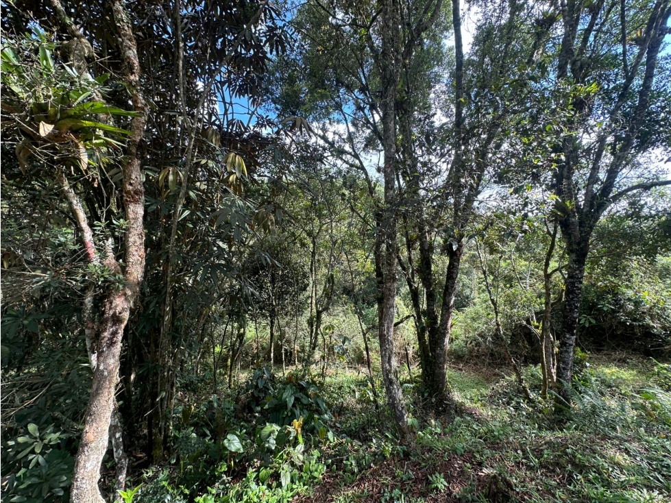 SE VENDE LOTE CAMPESTR EN UNIDAD CERRADA, LOMA DEL ESCOBERO,ENVIGADO. — foto 6