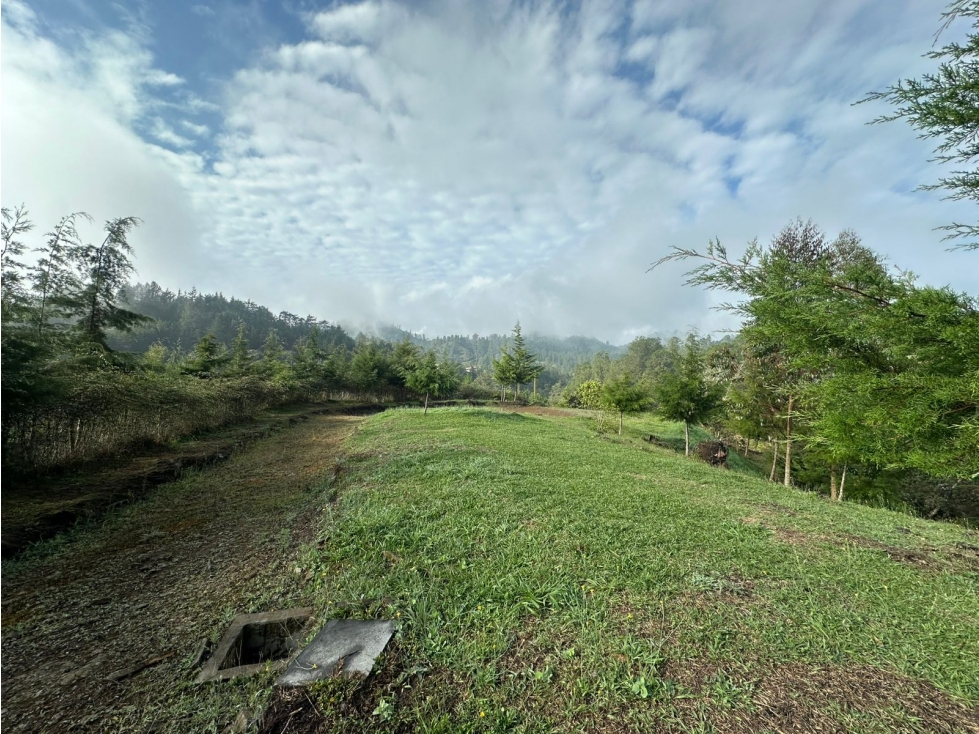 LOTE EN VENTA EN LA VEREDA EL PORTENTO, VÍA LA CEJA — foto 6
