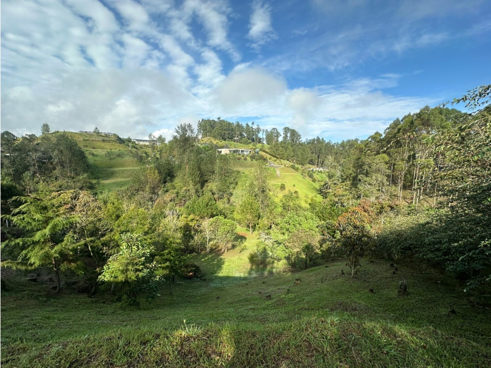 LOTE EN VENTA EN LA VEREDA EL PORTENTO, VÍA LA CEJA — foto 2