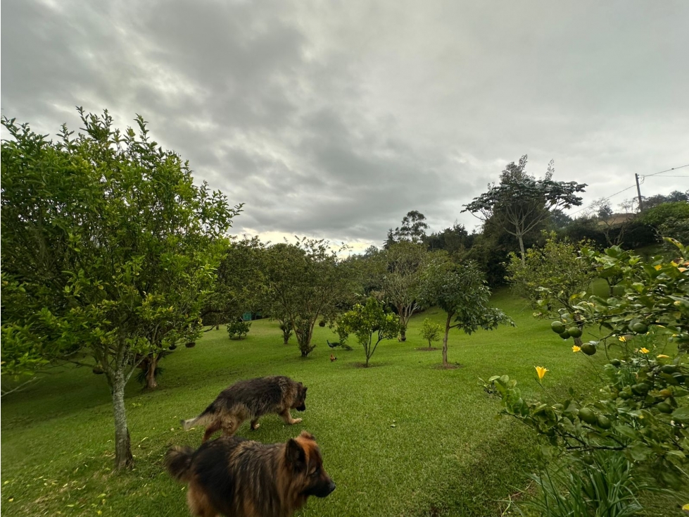 SE VENDE LOTE EN SAJONIA RIONEGRO, CERCA AL AEROPUETO JMC. — foto 4