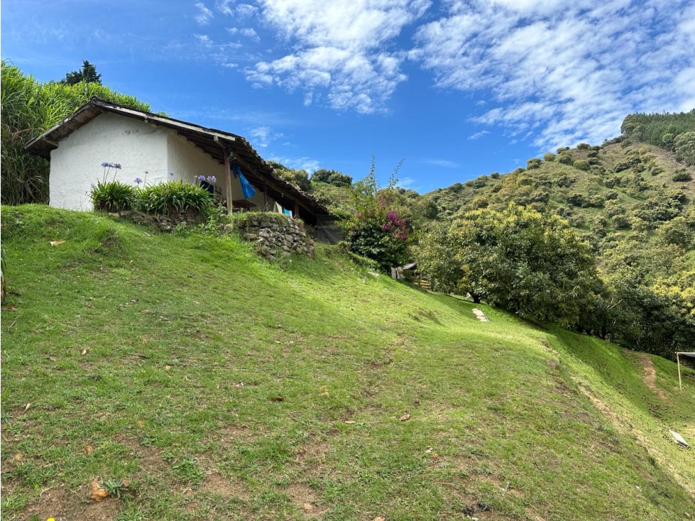 VENDO AMPLIO TERRENO AGROINDUSTRIAL PRODUCTIVO EN GUARNE — foto 2