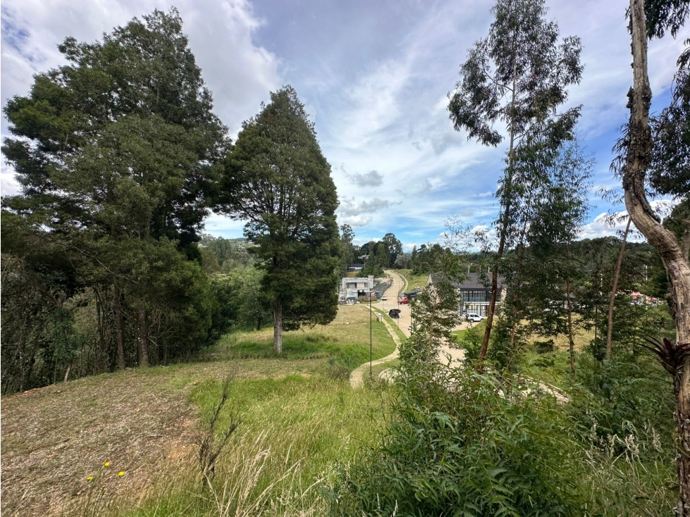 SE VENDE LOTE CAMPESTRE EN EL ALTO DE LAS PALMAS. — foto 2