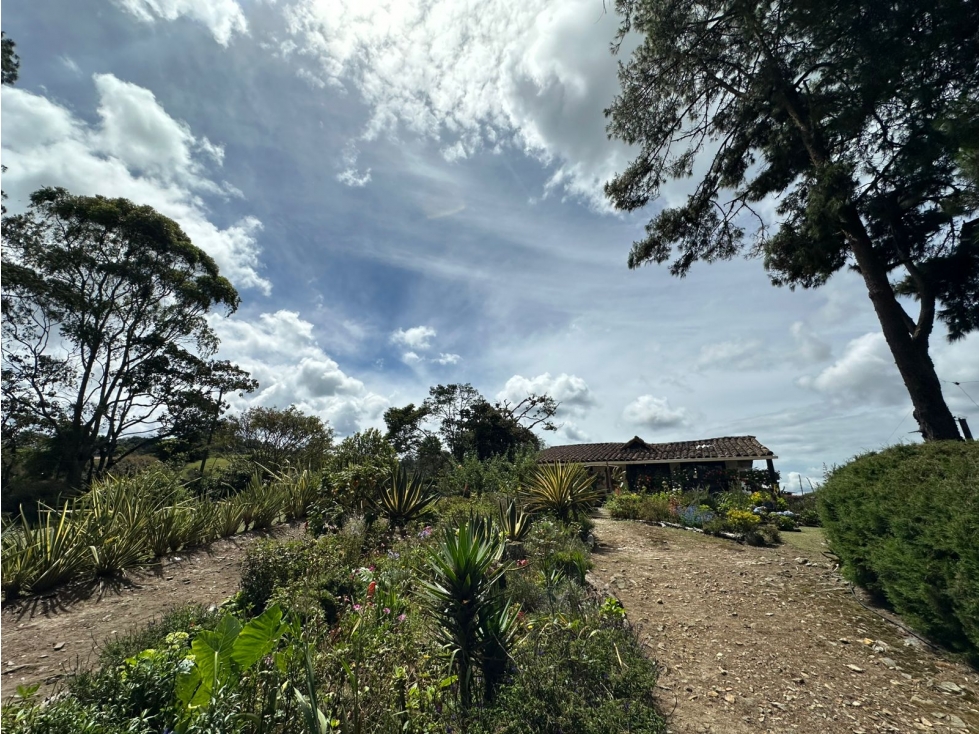 SE VENDE LOTE CON DESTINACIÓN MIXTA EN LA VEREDA PANTANILLO, ENVIGADO. — foto 6