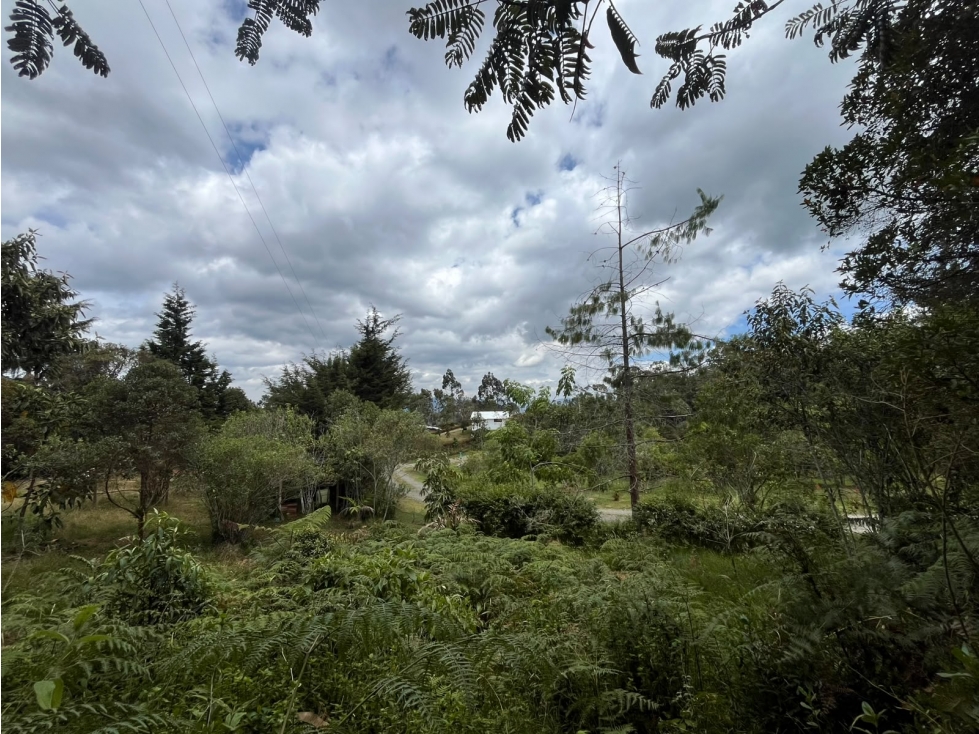 SE VENDE LOTE EN LA CATEDRAL PARTE ALTA, ENVIGADO.