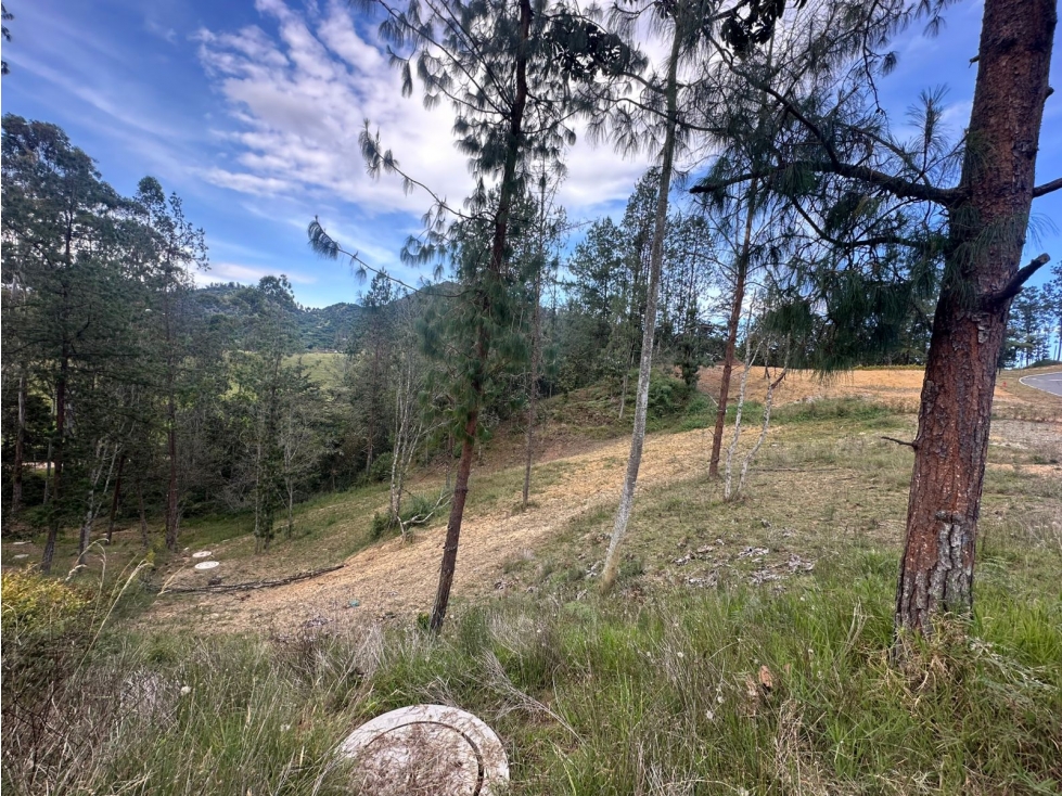 SE VENDE LOTE EN EL RETIRO, UNIDAD CERRADA. — foto 4