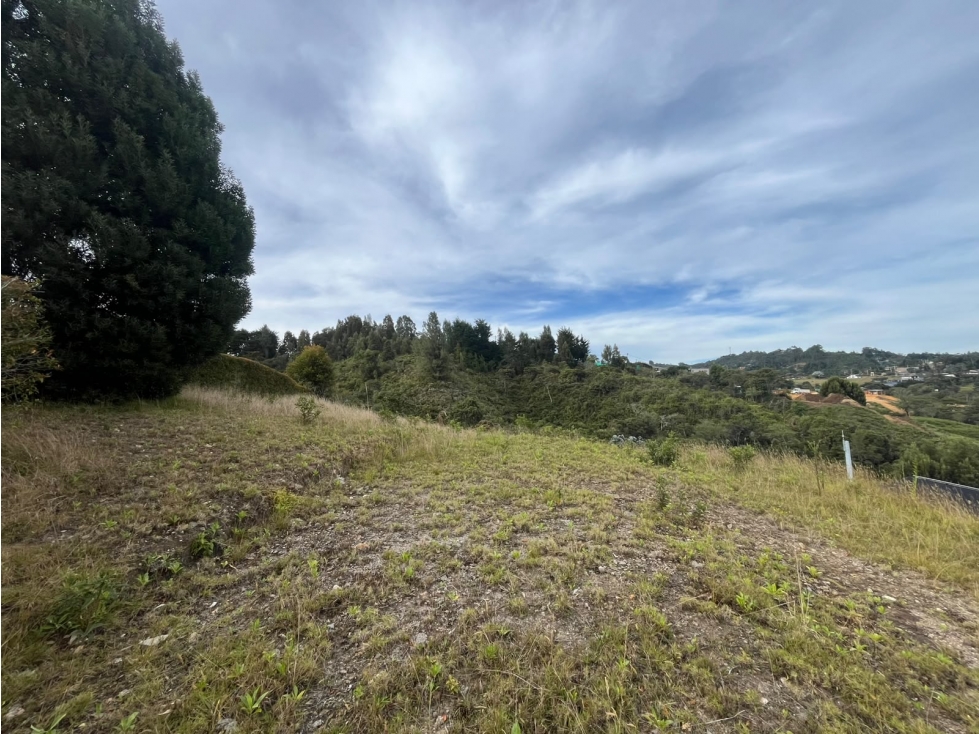 SE VENDE LOTE EN ALTO DE PALMAS, LA EXPLANA — foto 4