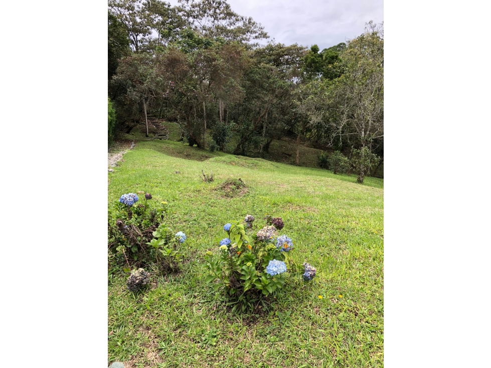 SE VENDE LOTE EN GUARNE VEREDA — foto 2