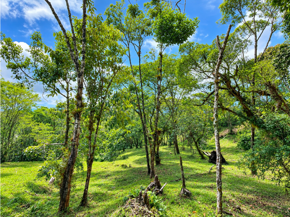 SE VENDE HERMOSO LOTE EN SECTOR LA MANUELA — foto 4