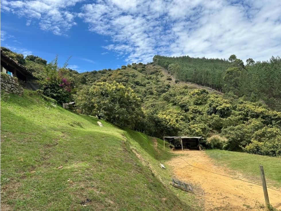 VENDO AMPLIO TERRENO AGROINDUSTRIAL PRODUCTIVO EN GUARNE