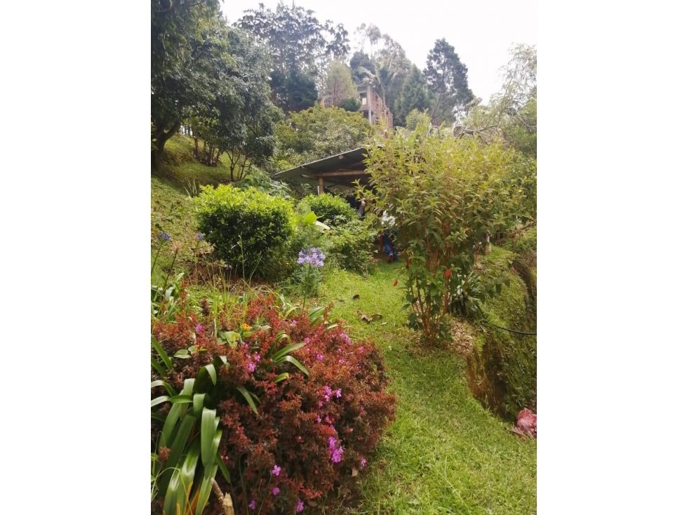 VENTA DE CASA CON LOTE EN GUARNE -VEREDA EL SANGO — foto 3