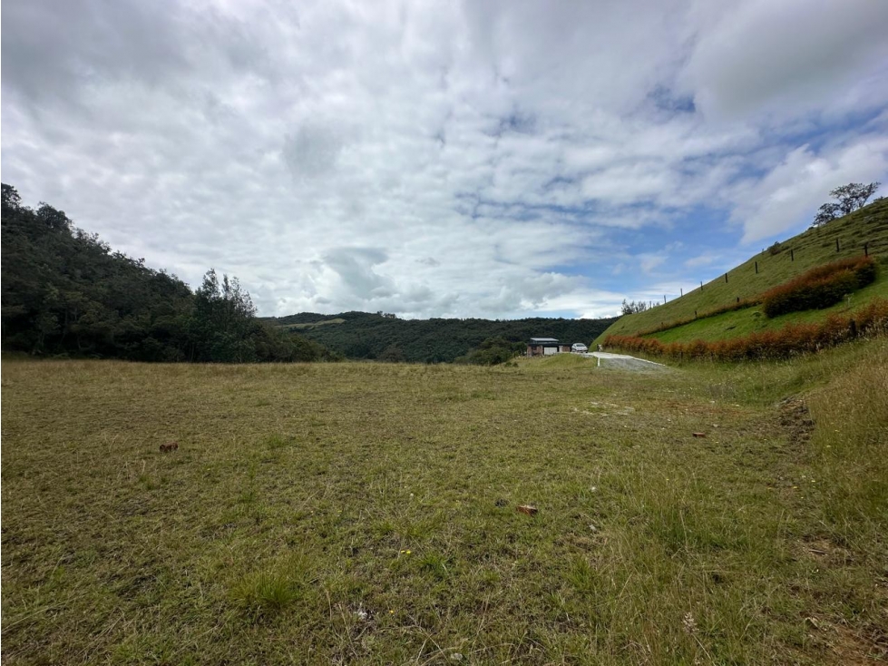 SE VENDE LOTE EN LA VEREDA PERICO, ENVIGADO. — foto 3