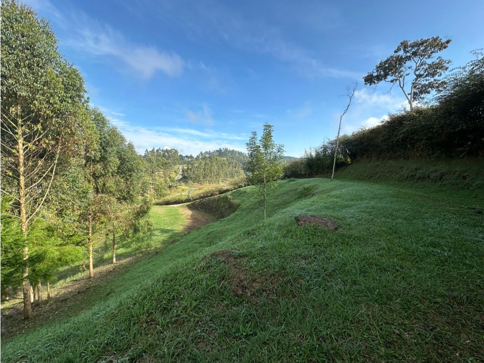 LOTE EN VENTA EN LA VEREDA EL PORTENTO, VÍA LA CEJA — foto 3