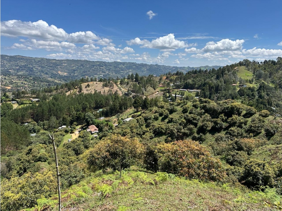VENDO AMPLIO TERRENO AGROINDUSTRIAL PRODUCTIVO EN GUARNE — foto 4