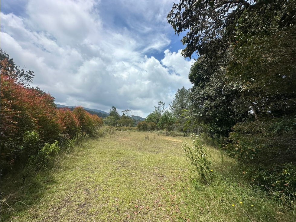 SE VENDE LOTE EN EL RETIRO, VEREDA LOS SALADOS. — foto 3