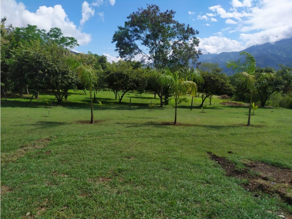 SE VENDE LOTE EN SANTAFE DE ANTIOQUIA.
