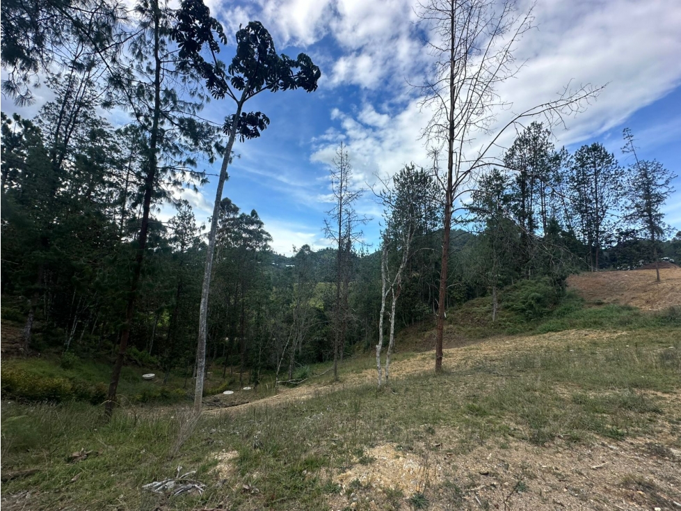 SE VENDE LOTE EN EL RETIRO, UNIDAD CERRADA. — foto 5