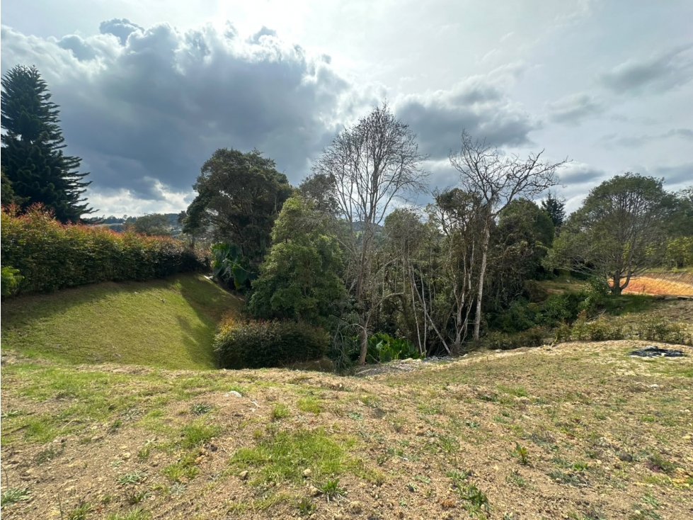 SE VENDE LOTE CAMPESTRE EN LA VARIANTE LAS PALMAS. — foto 4