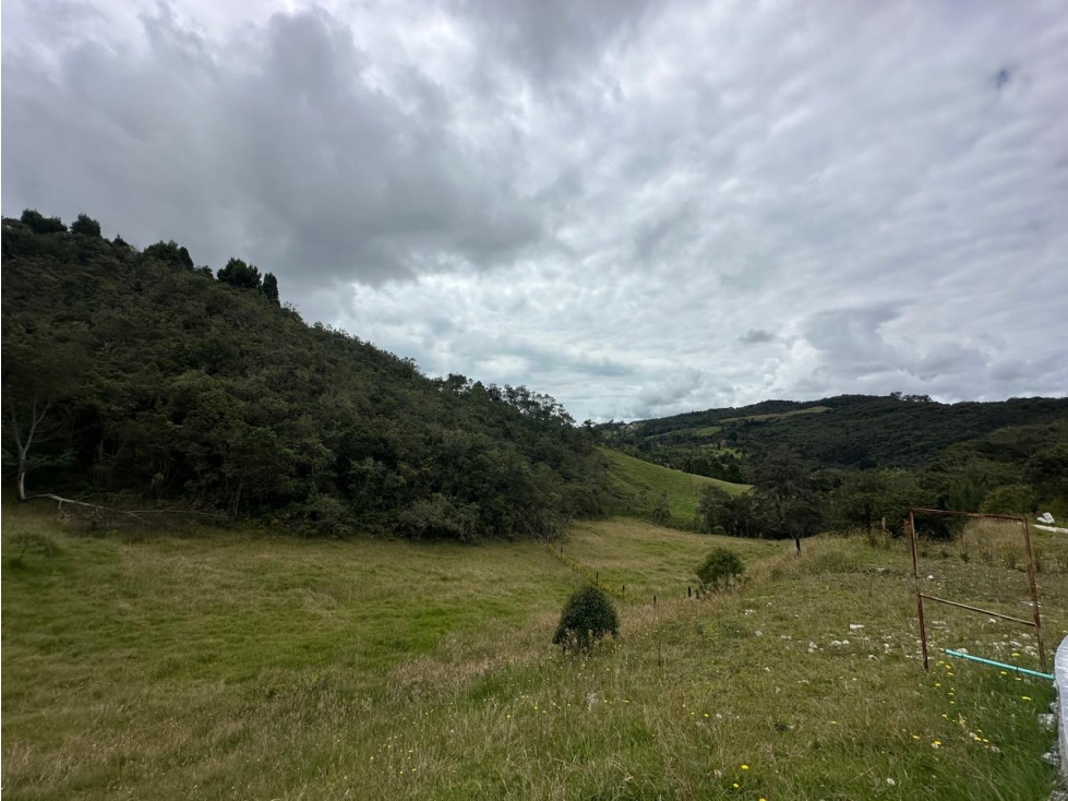 SE VENDE LOTE EN LA VEREDA PERICO, ENVIGADO. — foto 4