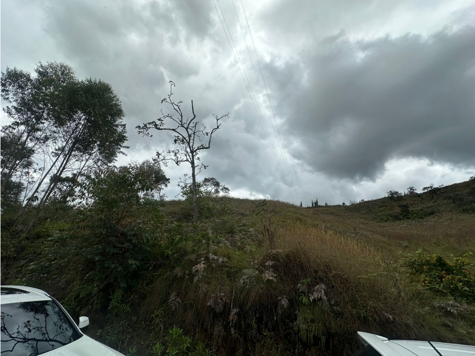 SE VENDE LOTE EN LA VEREDA HOJAS ANCHAS, GUARNE. — foto 4