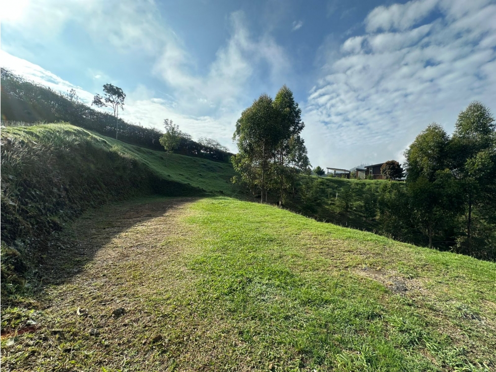 LOTE EN VENTA EN LA VEREDA EL PORTENTO, VÍA LA CEJA — foto 4