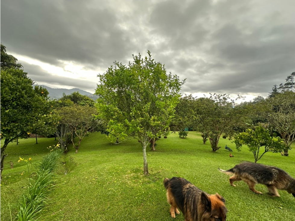 SE VENDE LOTE EN SAJONIA RIONEGRO, CERCA AL AEROPUETO JMC. — foto 5