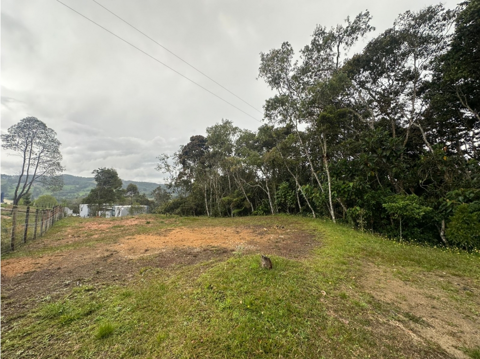 SE VENDE LOTE DE USO MIXTO EN LA VEREDA PANTANILLO, ENVIGADO. — foto 4