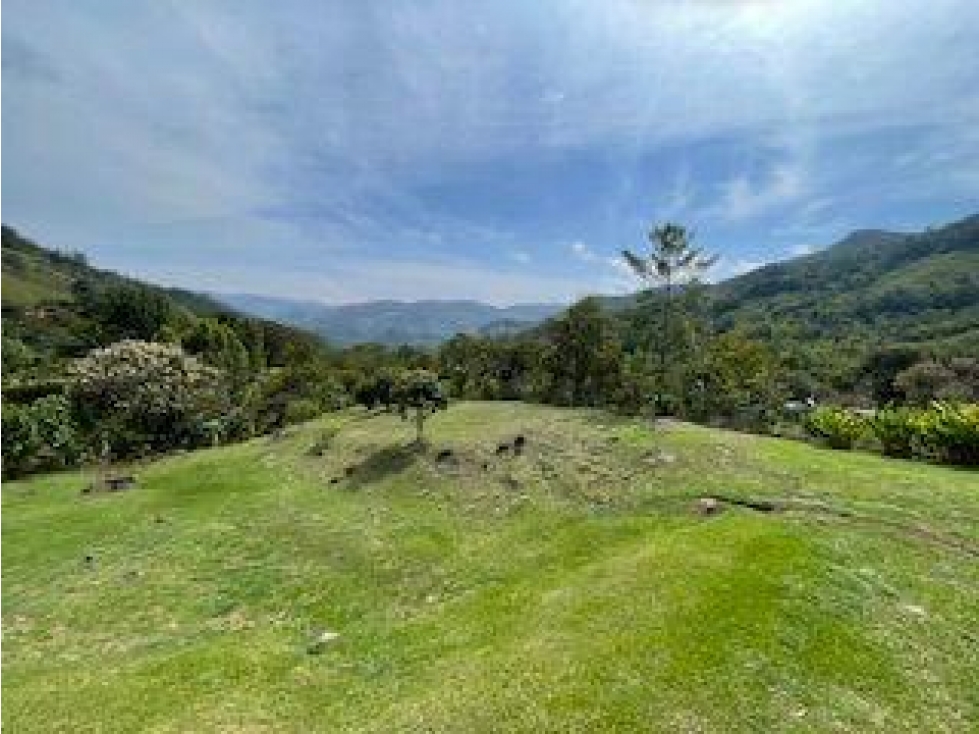 SE VENDE FINCA EN LA VEREDA LA RÁPIDA, SAN RAFAEL, ANTIOQUIA. - 5