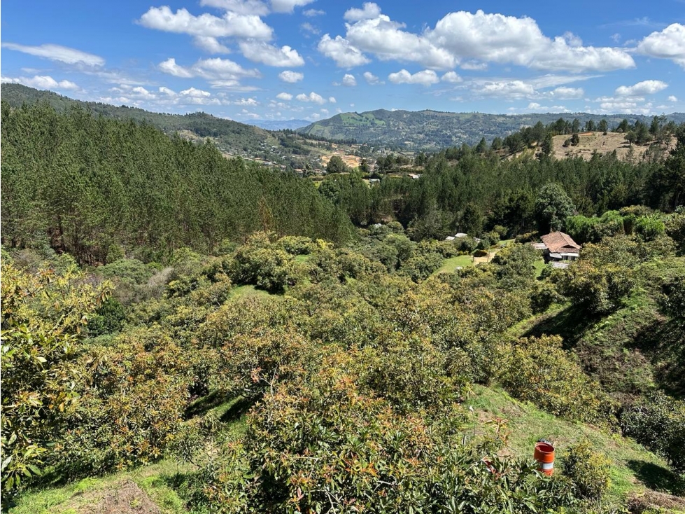 VENDO AMPLIO TERRENO AGROINDUSTRIAL PRODUCTIVO EN GUARNE — foto 5
